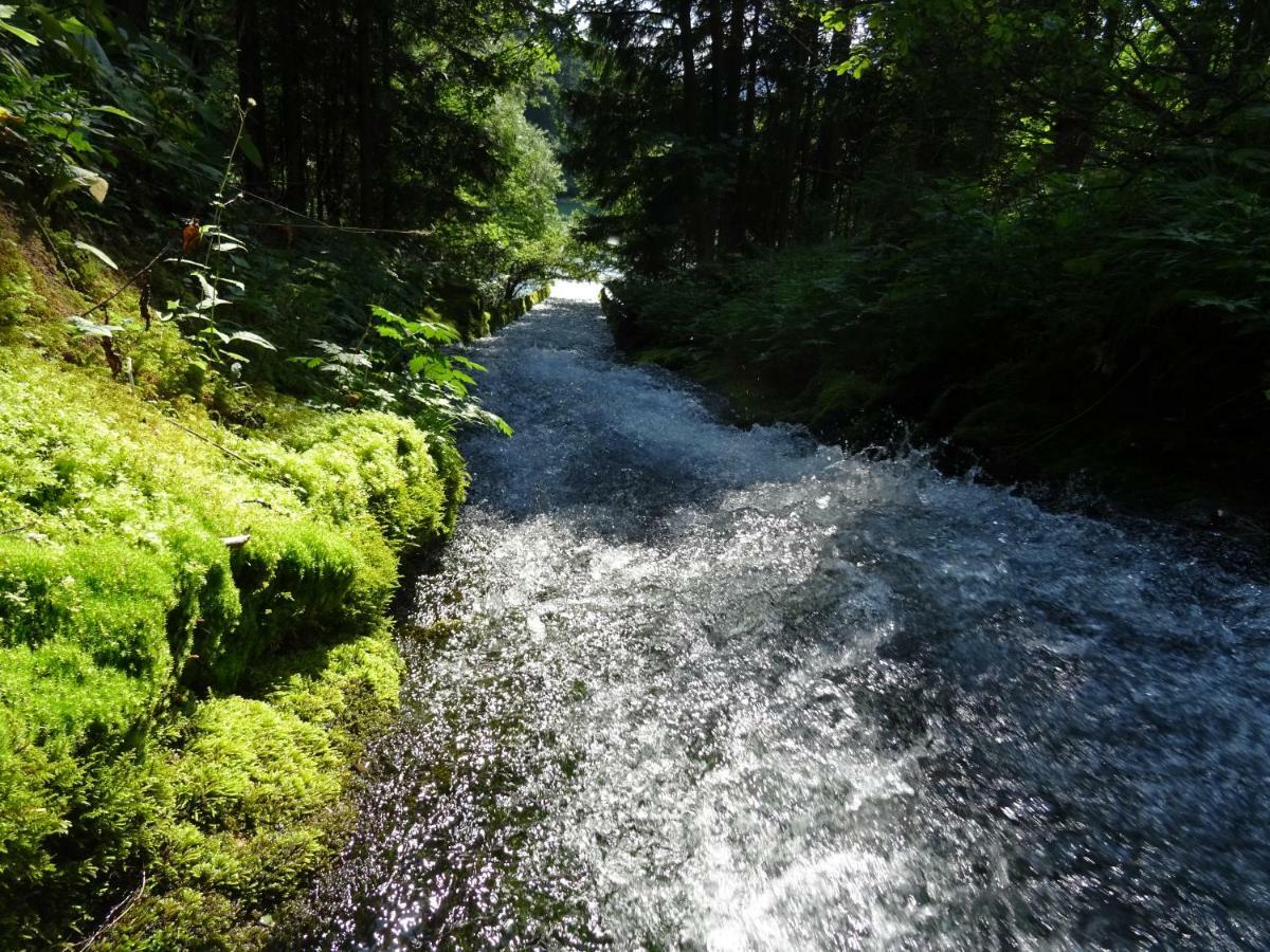 Wooden Jesenice
